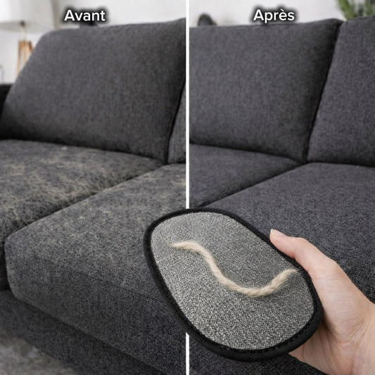 Avant après enlèvement poils chien canapé gant Animesso